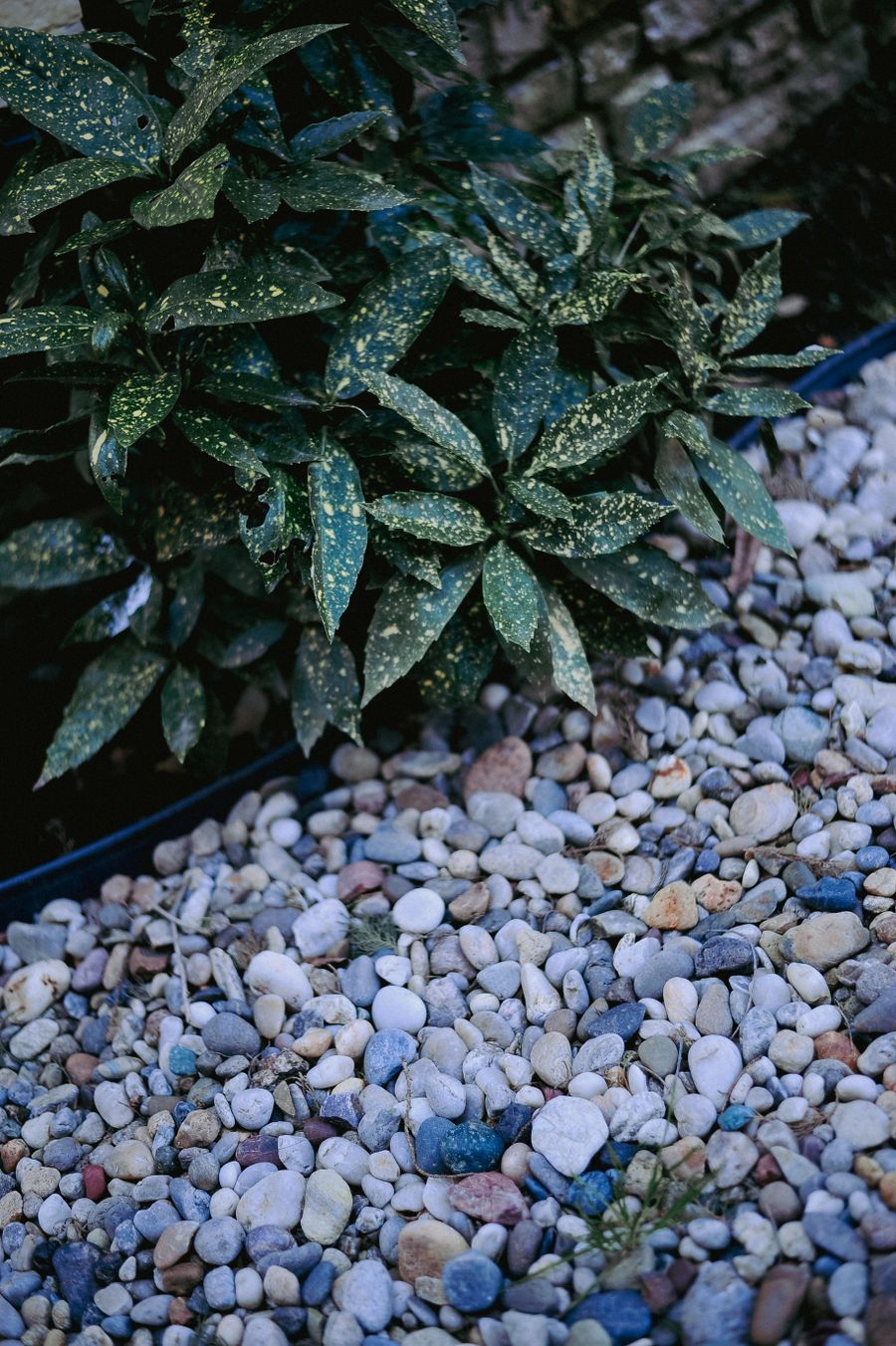 Decorative river rock landscape bed with shrub against a brick wall